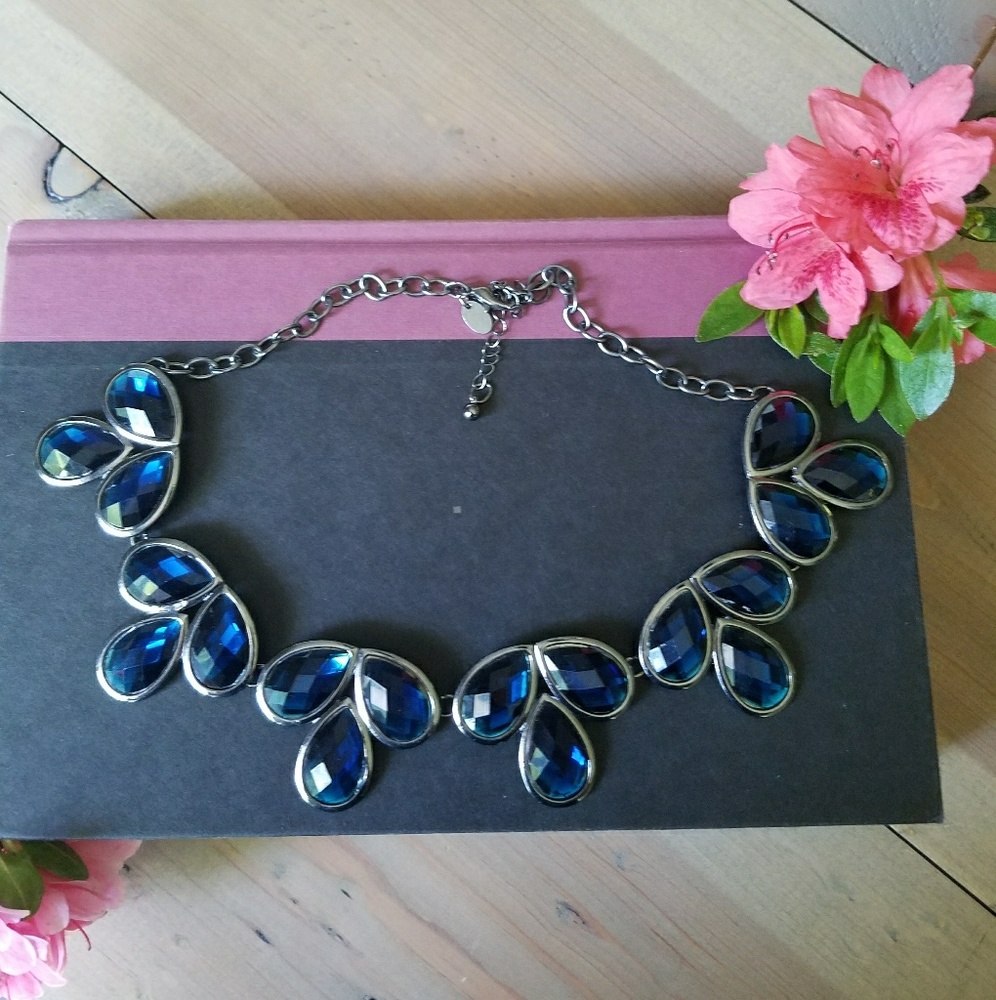 Charming Charlie Blue Necklace